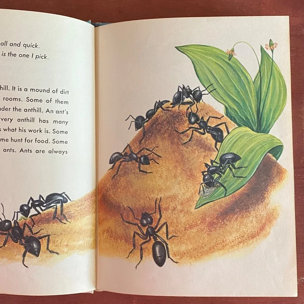 This Home For Me Hardcover Solveig P. Russell